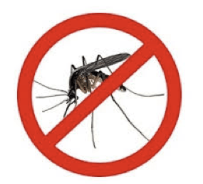 Đâu là giải pháp chống muỗi tối ưu?