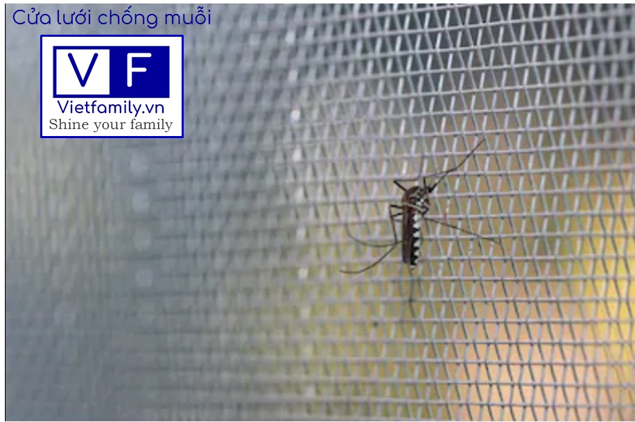 Rèm cửa chống muỗi là gì và tìm mua ở đâu?
